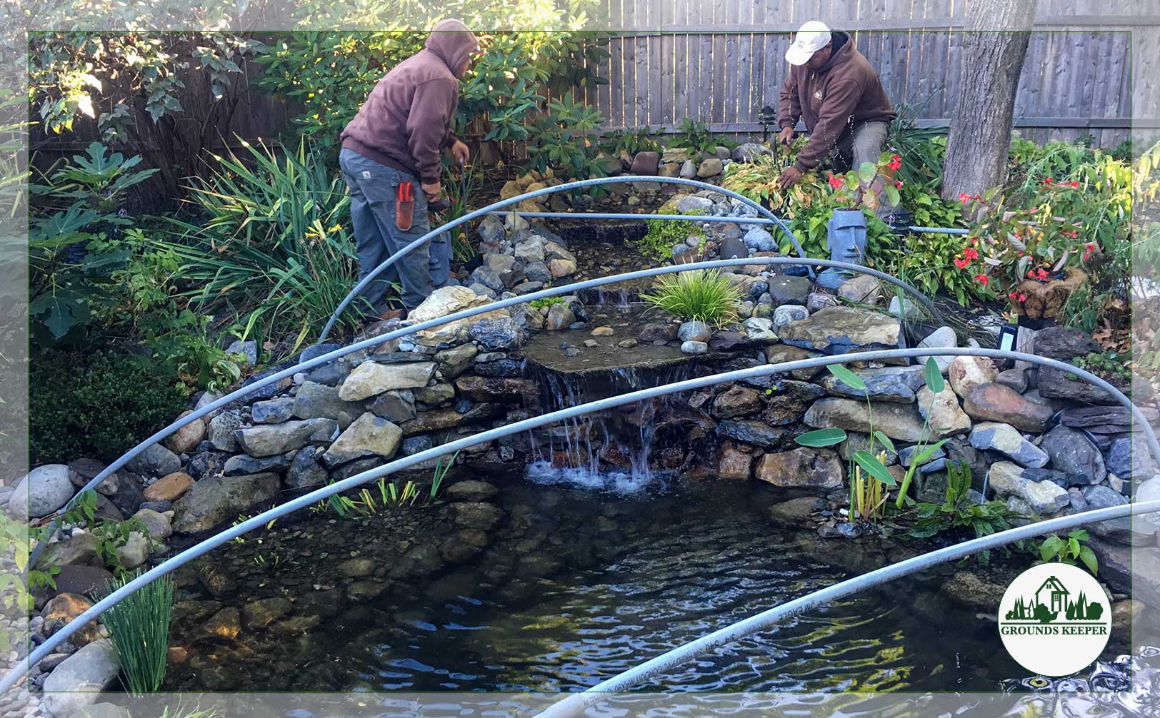 fall pond being covered with netting 