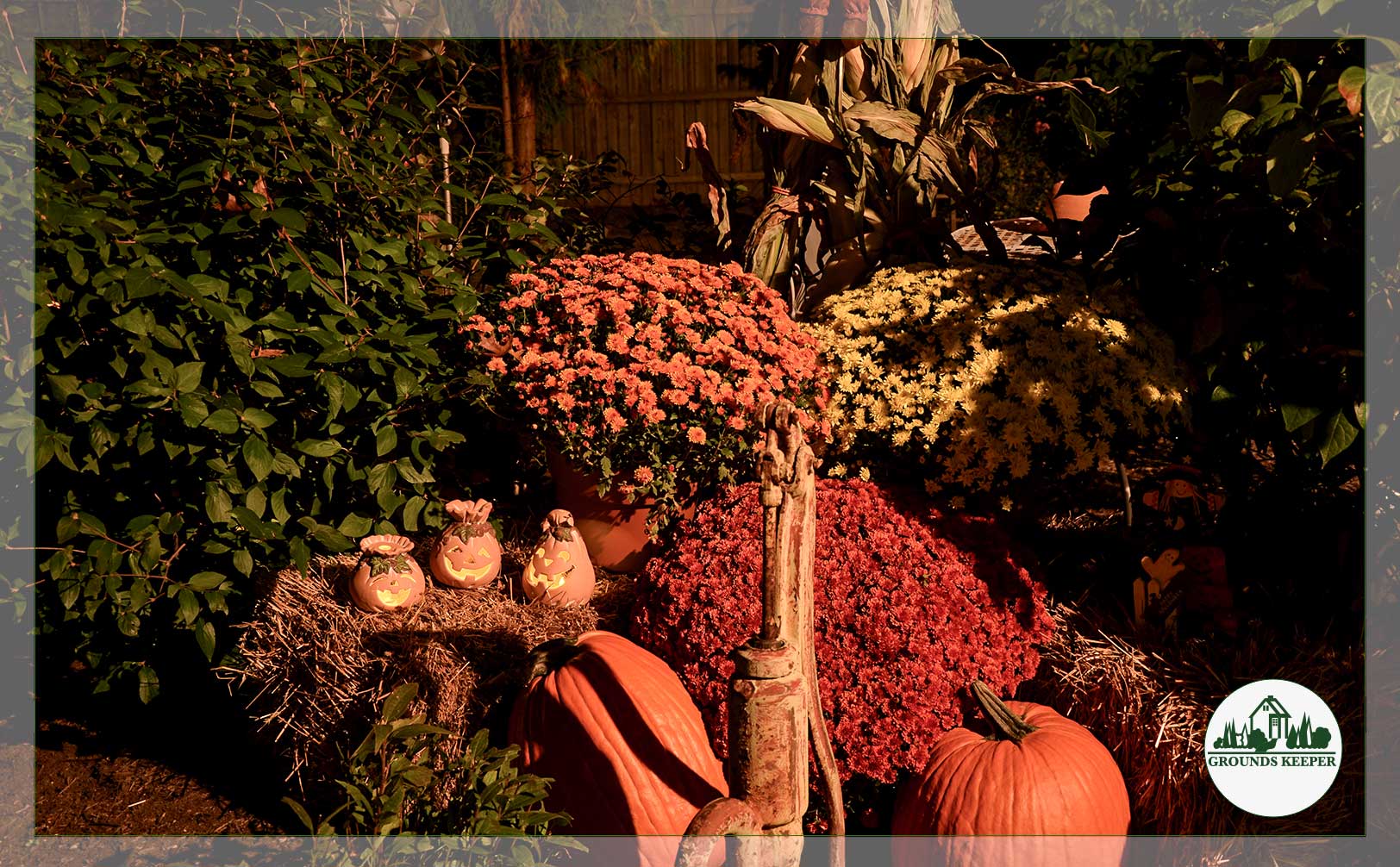 fall mums and ceramic pumpkin decor