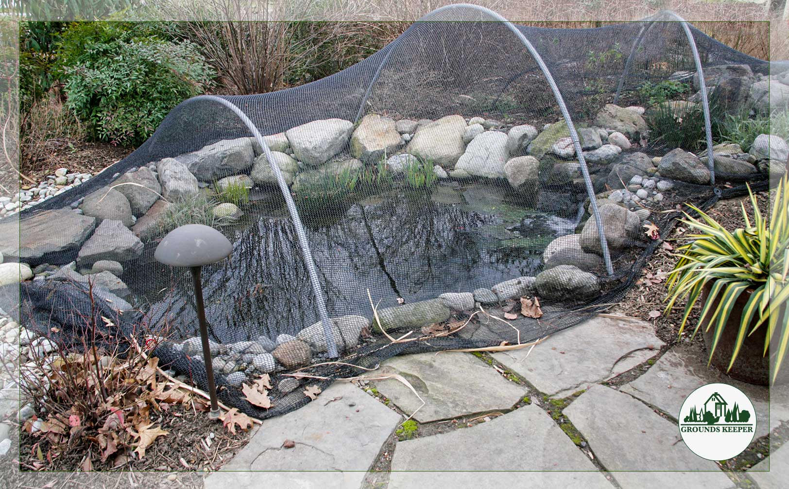 fall pond netted