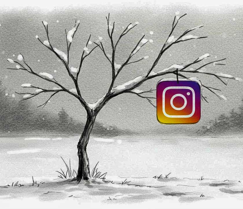 follow on instagram