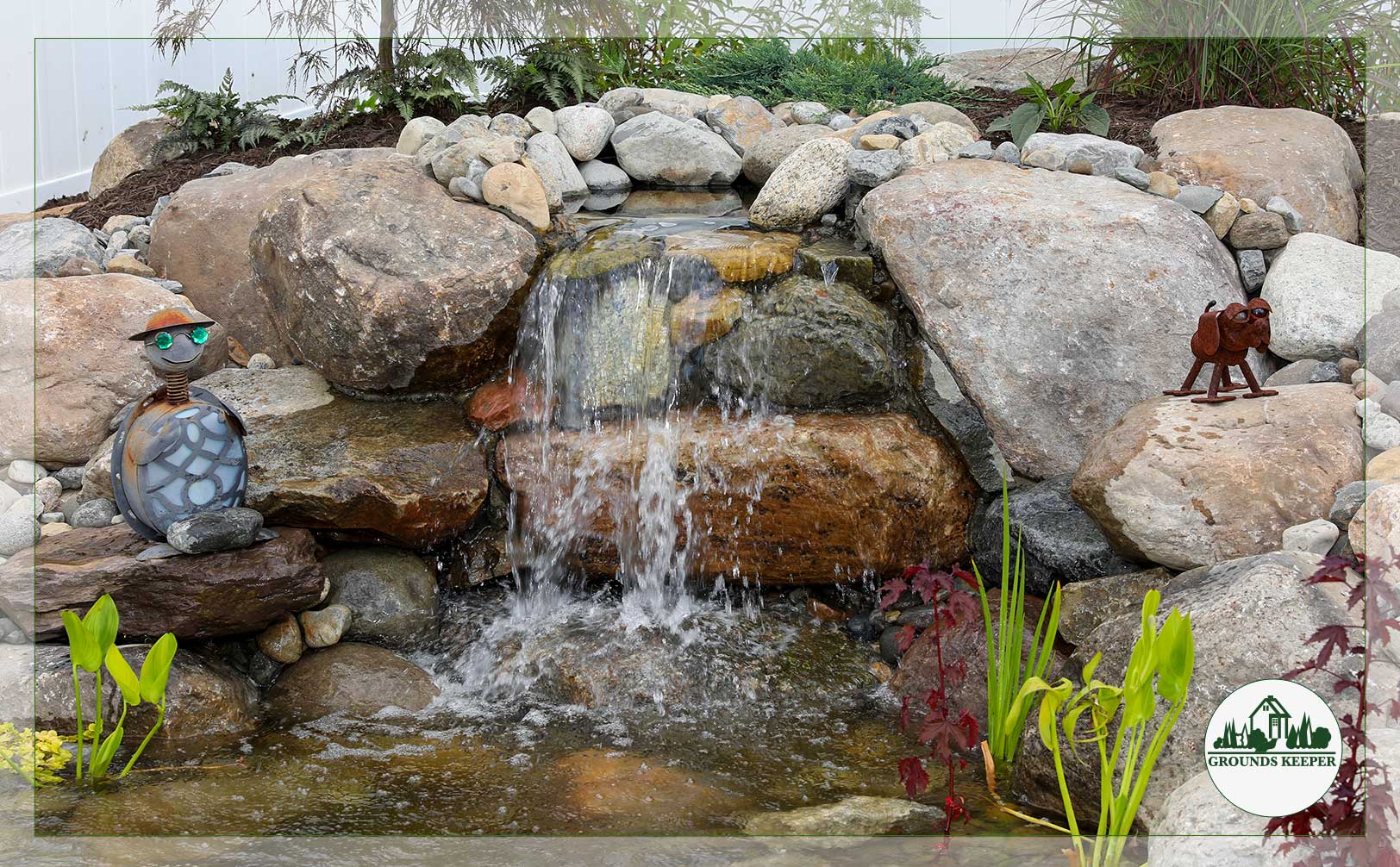 pond turtle artwork