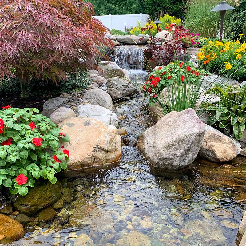 pond and waterfall with red and yellow summer flowers