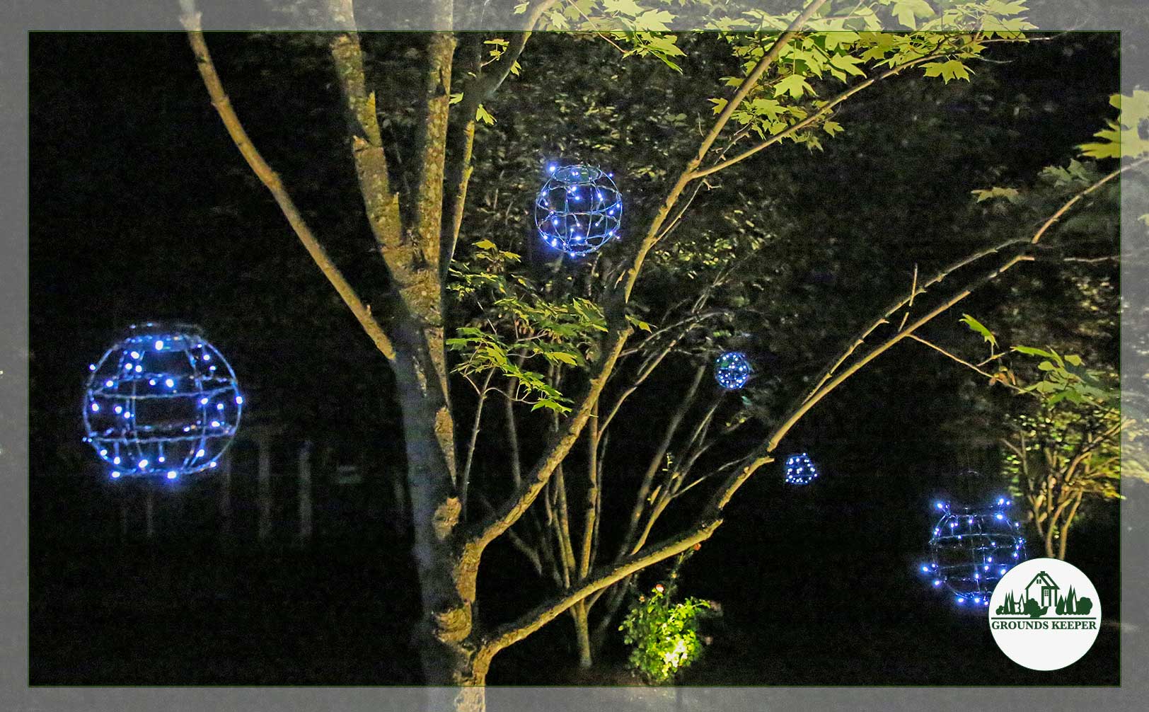 blue globe lights in trees