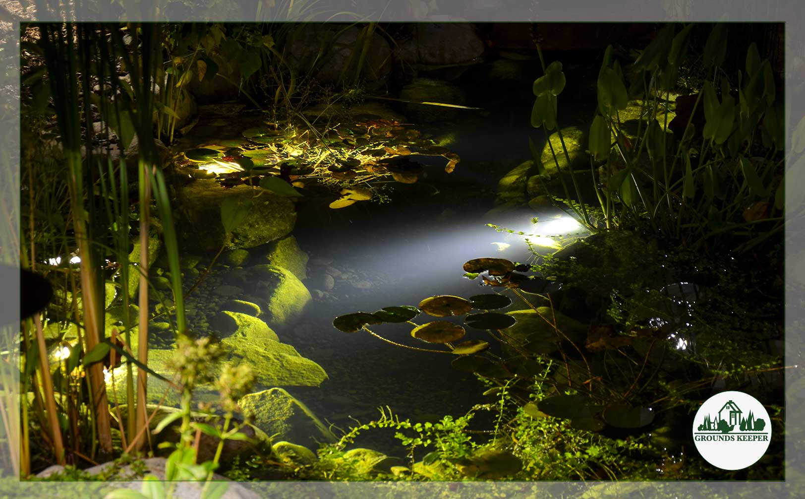 pond spotlight