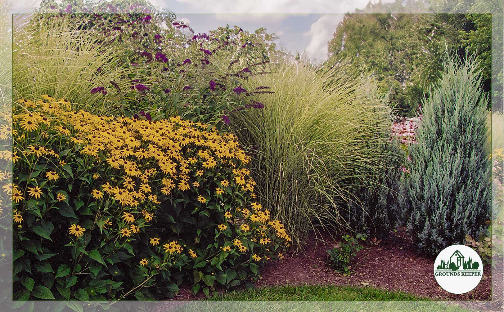 summer garden with yellow and purple flowers