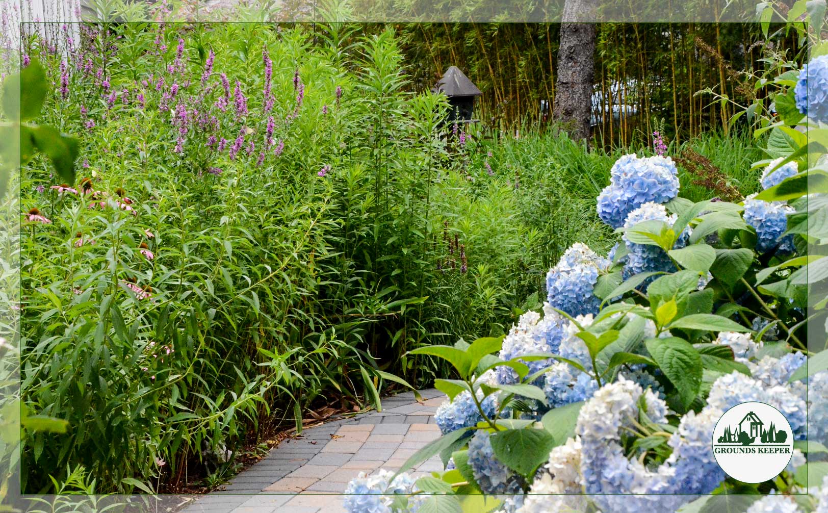 cool colors blue hydrangea and purple flowers