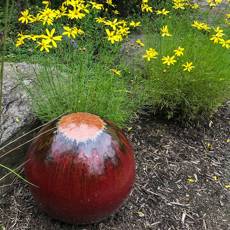 red bubbler and yellow flowers
