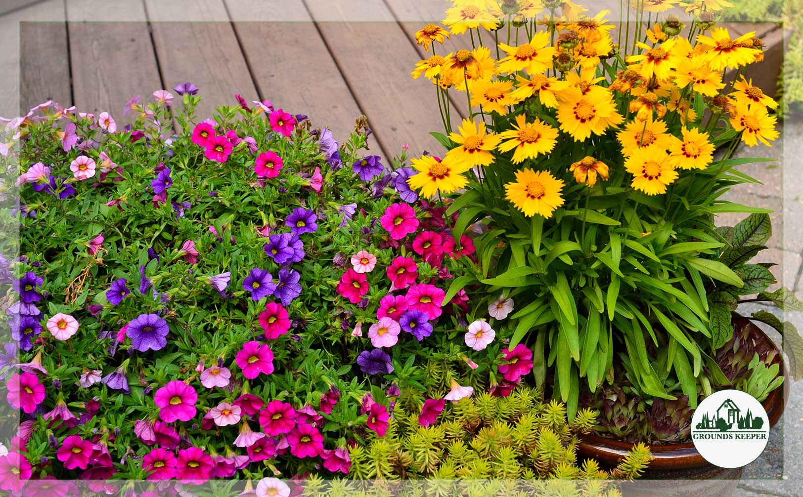 colorful flowers in planters