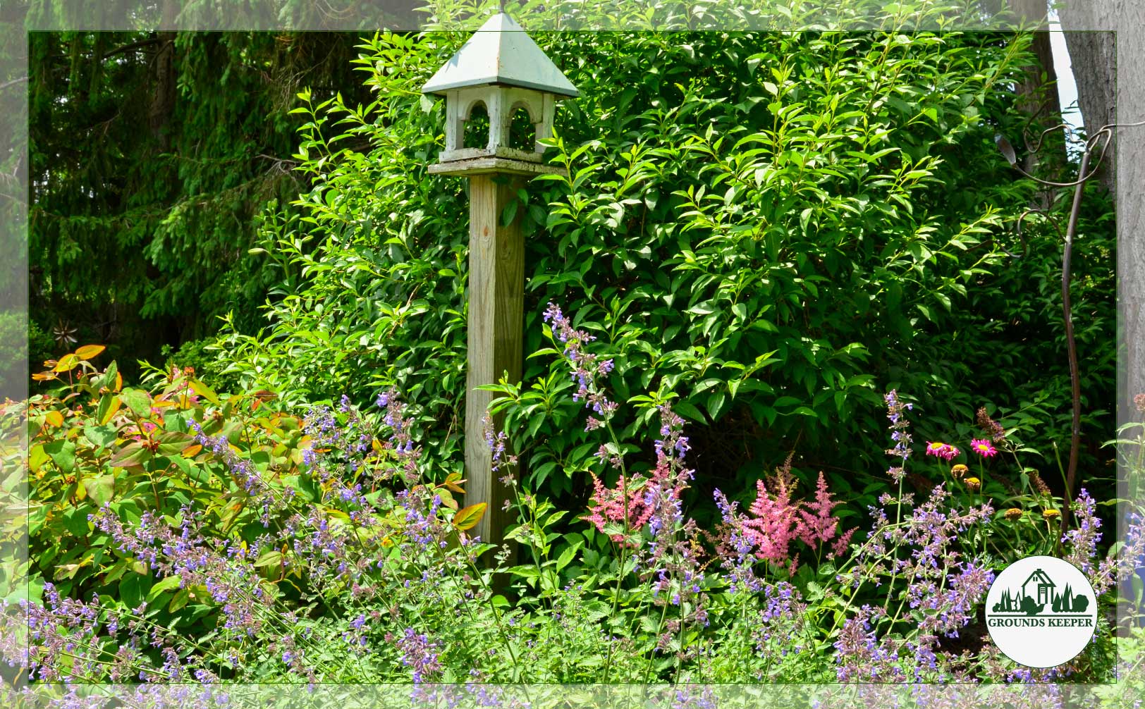 birdhouse in wildflower garden