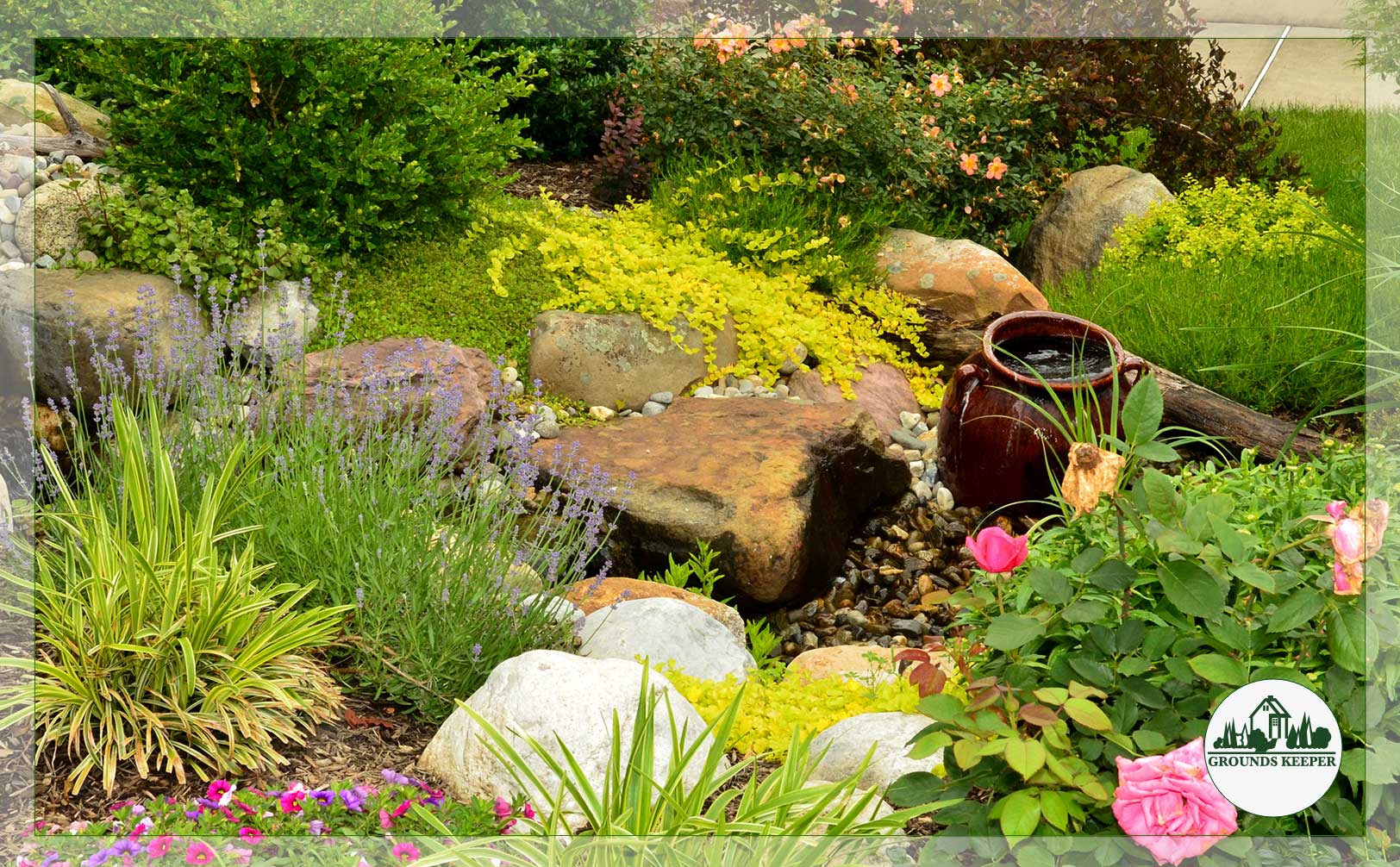 creeping jenny over stone