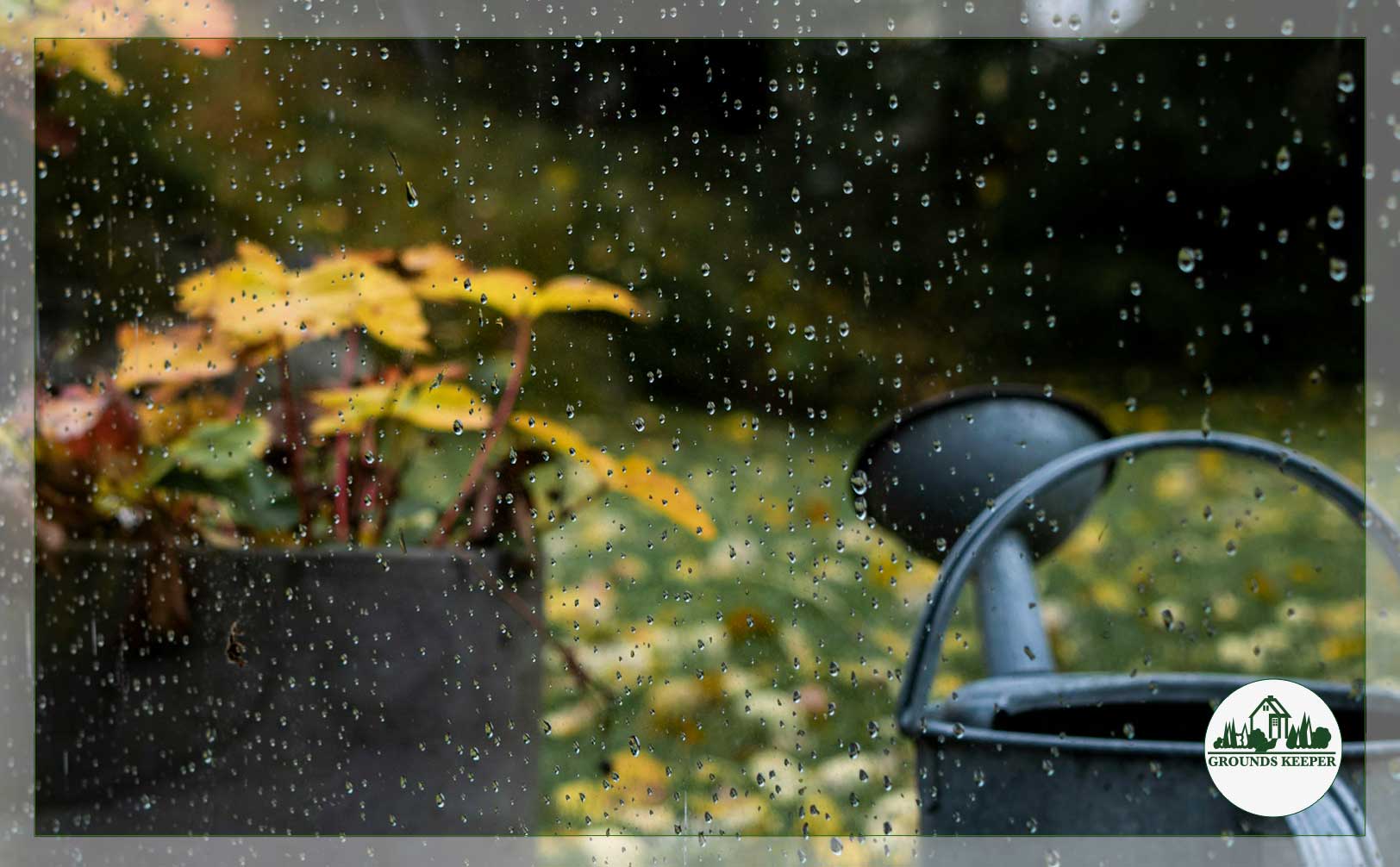 rain on watering can