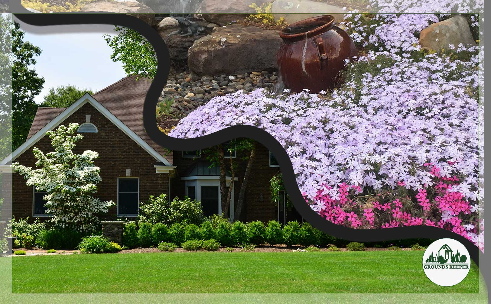 groundcover or grass
