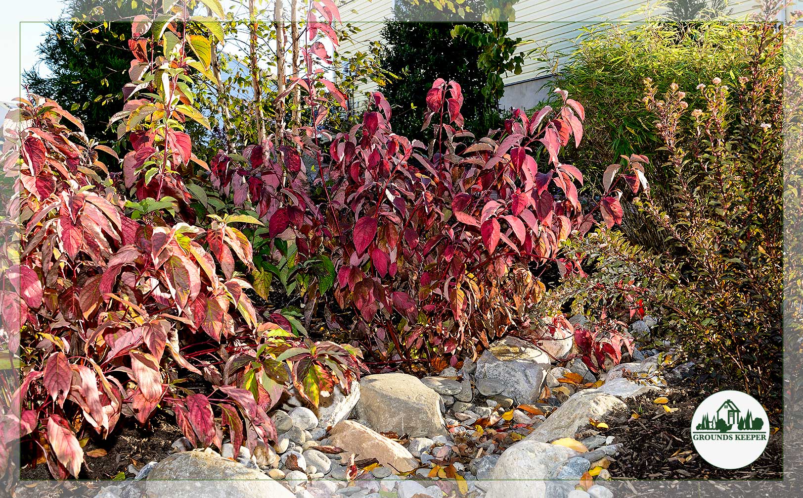 autumn garden bed leaves