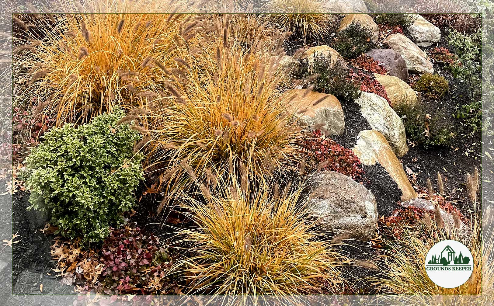 yellow autumn ornamental grass with scattered leaves 