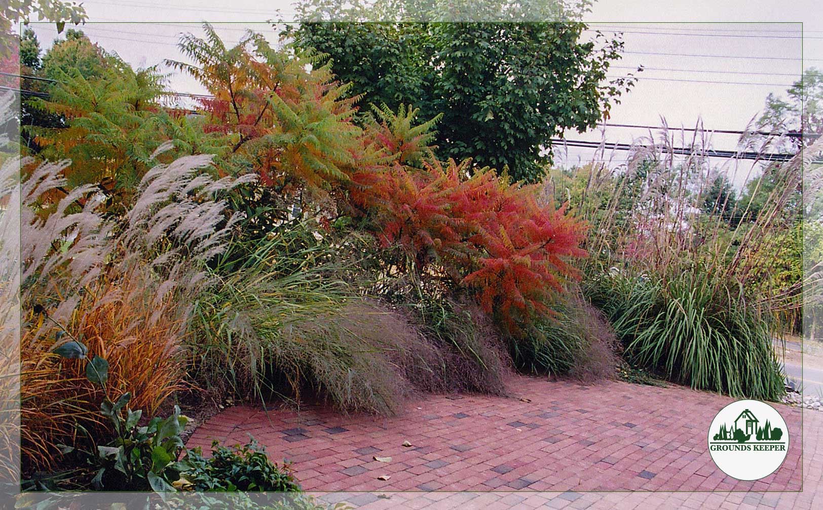 colorful naturalistic fall garden